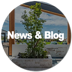 News & Blog
